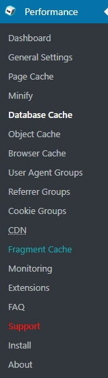 w3 total cache options