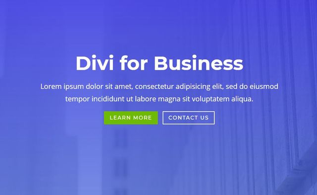 Divi Agency - WordPress-Geschäftsthema