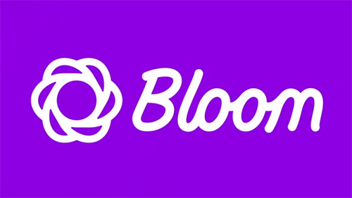 Bloom eMail Opt no plug-in WordPress