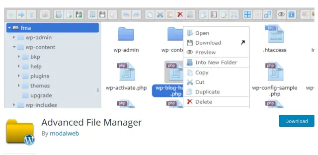 File manager avanzato