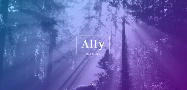 Ally - divi child theme