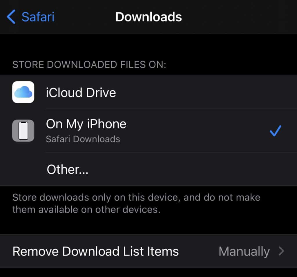 Configurar Safaris Download Manager iPhone y iPad