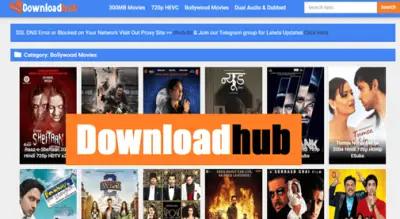DownloadHub - Too FMovies alternative