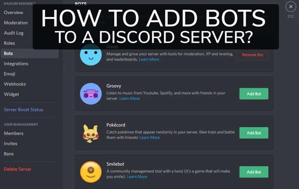 Come aggiungere bot a Discord