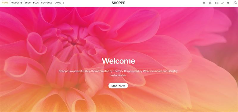 Shoppe by Themify