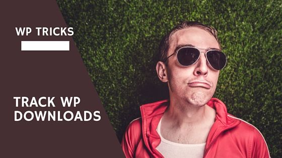 Track WP downloads - CollectiveRay.com