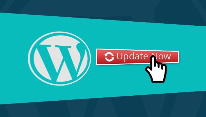 Asegure WordPress a través de sus actualizaciones