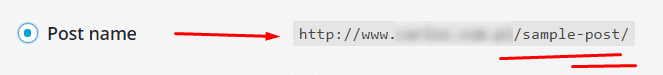WordPress umożliwia przyjazne dla wyszukiwarek adresy URL