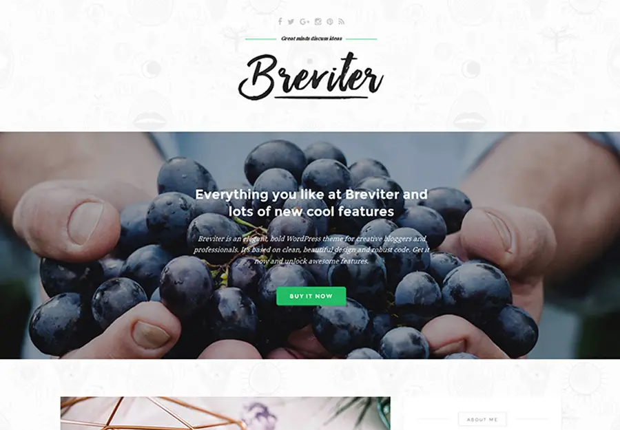 Breviter WordPress Theme