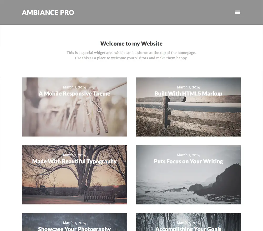 Ambiance Pro