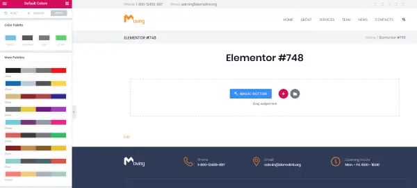 Theme options
