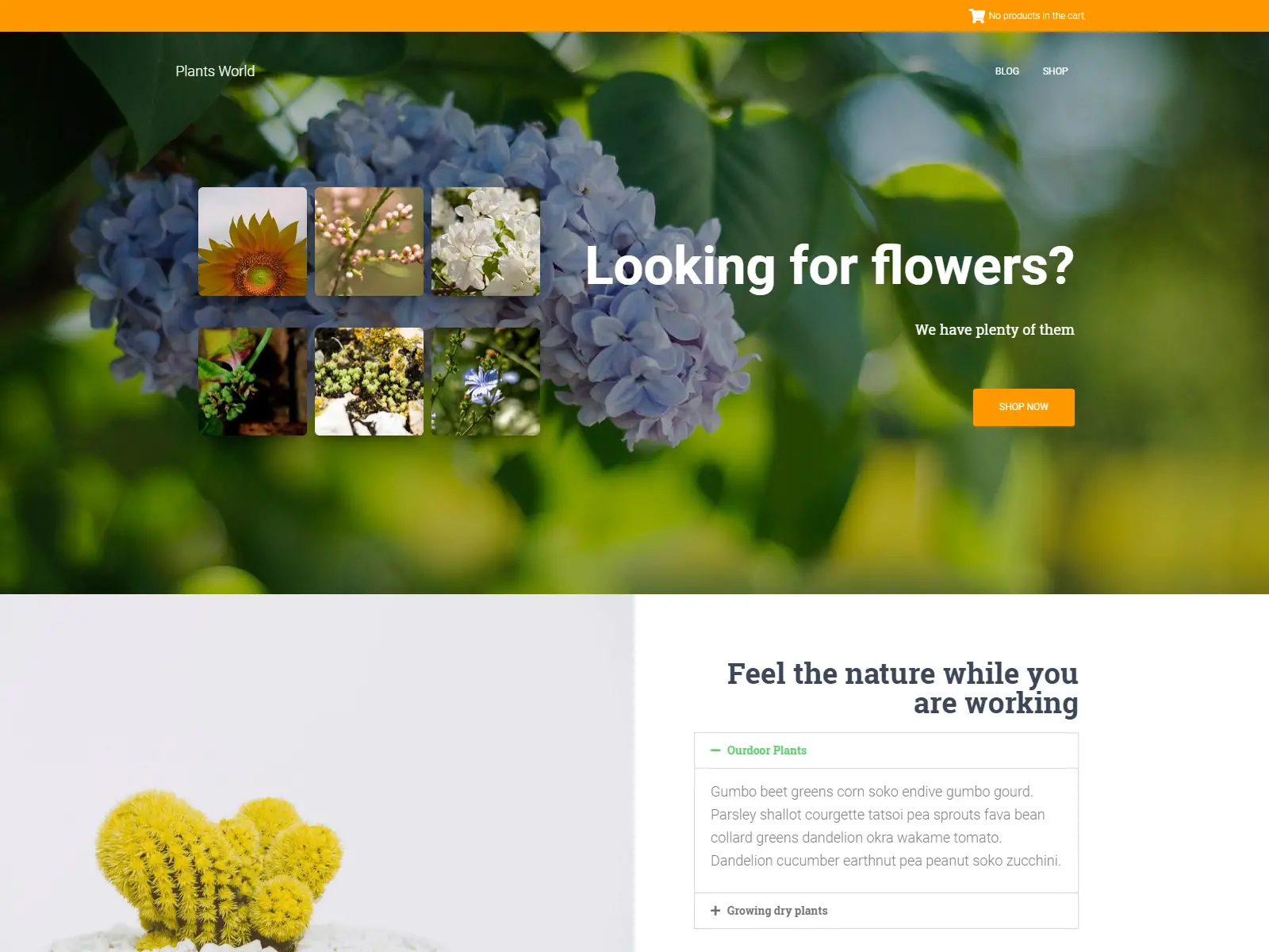 Hestia Woocommerce