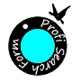 profi leitarform