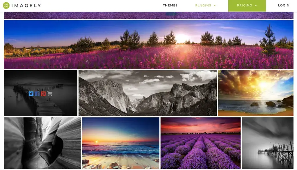 galerie nextgen avec commerce électronique