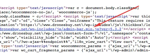 core minify javascript wordpress