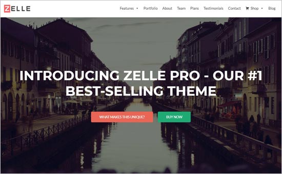 zelle pro