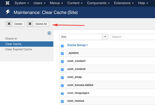 Clear Joomla cache