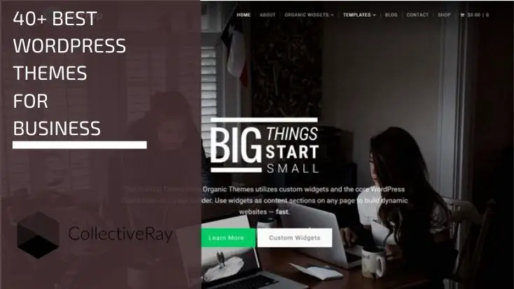 Thèmes d'entreprise WordPress