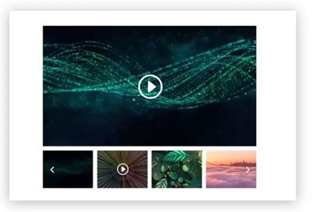 Video Renna