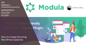 wp-moduuli