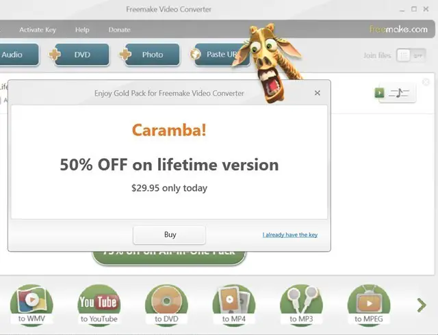 Freemake video converter