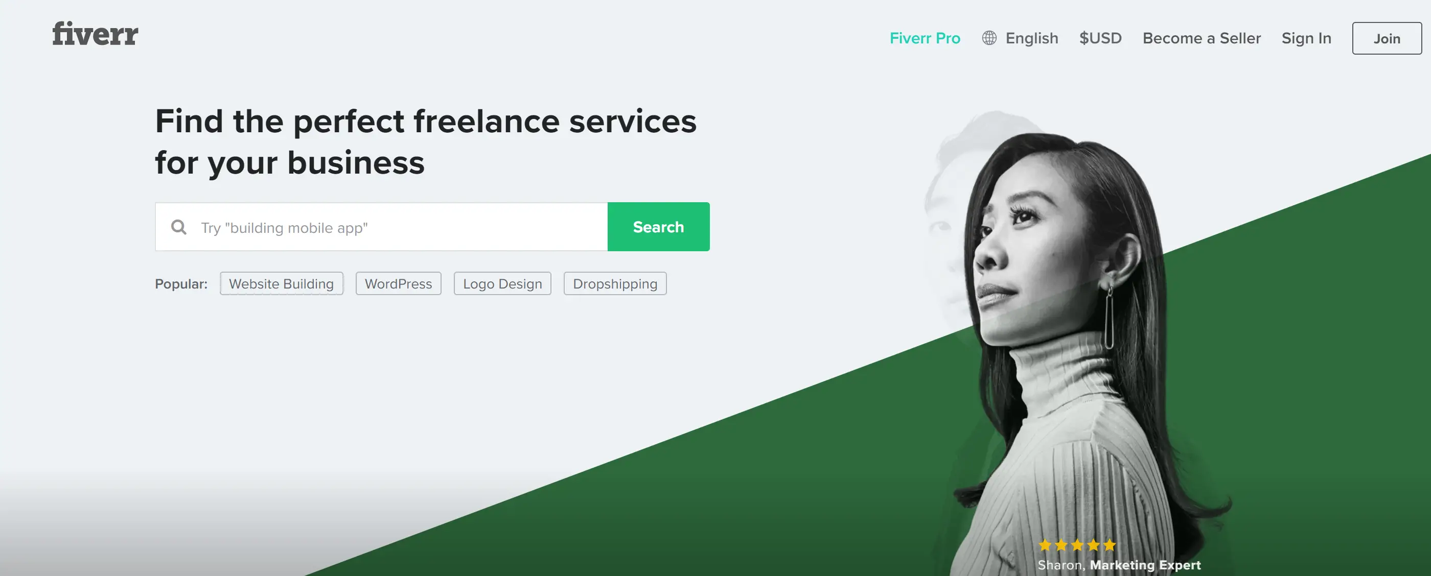 Huur PHP-ontwikkelaars in op Fiverr