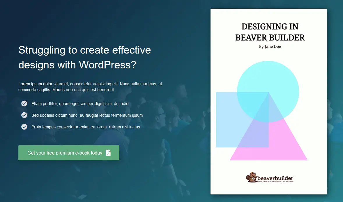 Beaver landing page