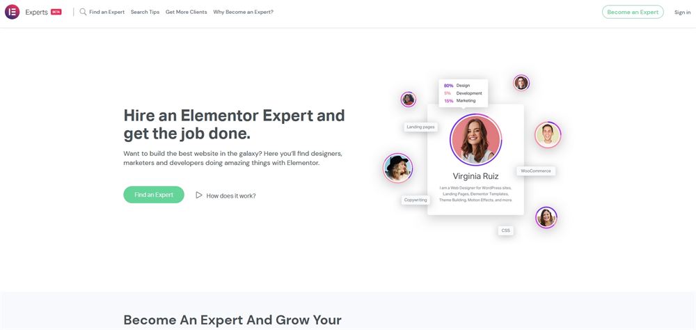 Experts