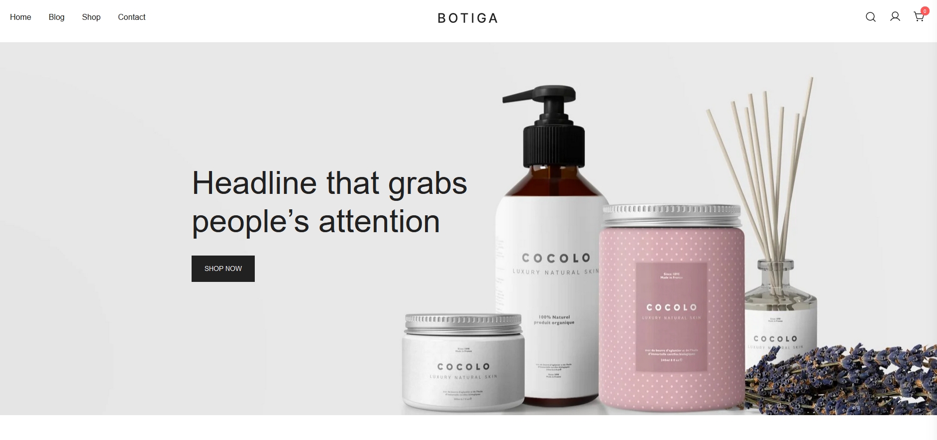 Botiga