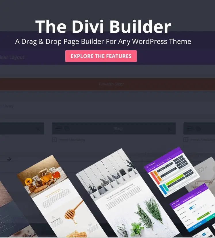 DiviPageBuilder