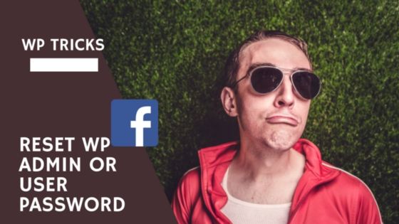 Forgot WordPress Password