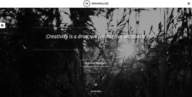 minimoi WordPress-teema
