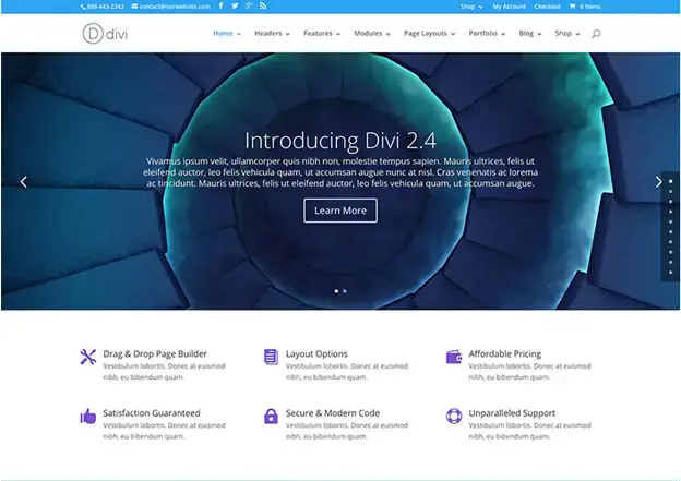 Divi Theme
