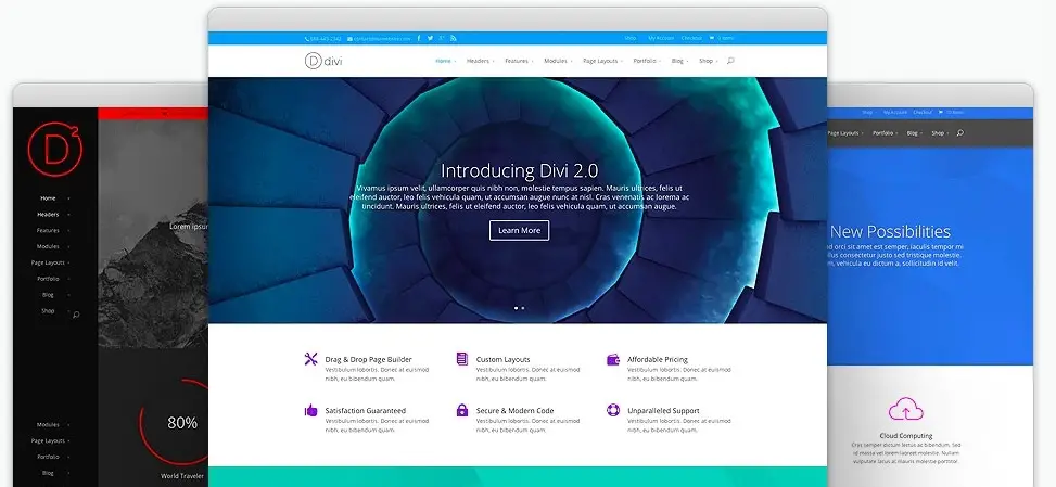 divi elegant themes