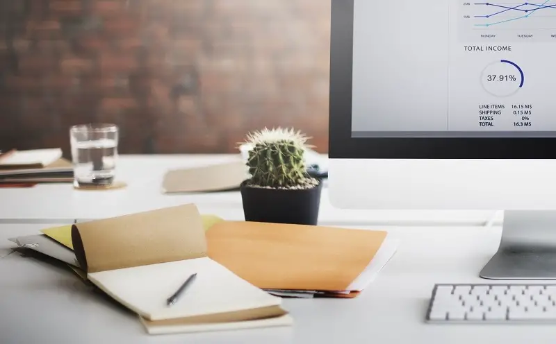 email marketing bloom