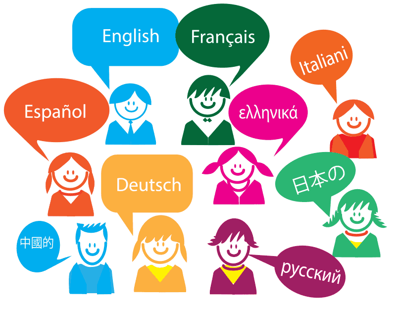translation options